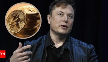 'Impossible to fake energy': Elon Musk reverses stance, now backs Bitcoin — What he said