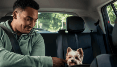 Το Uber Taxi Pet έφτασε στην Ελλάδα