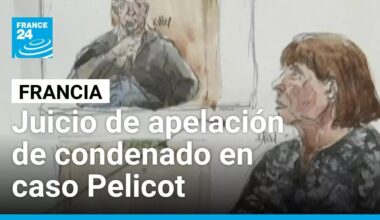 Empieza juicio de único condenado que apeló condena en caso Gisèle Pelicot • FRANCE 24 Español