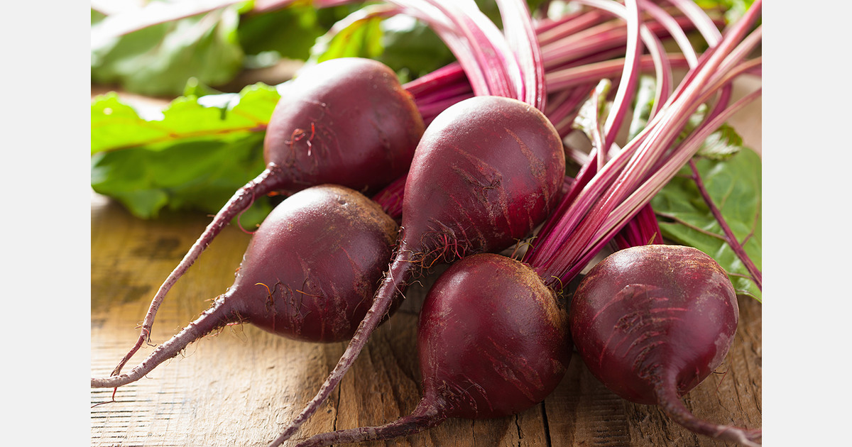 Wattie’s cuts New Zealand crop sourcing over import competition