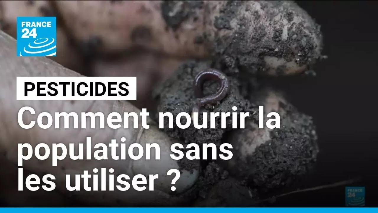 Pesticides : comment nourrir la population sans les utiliser ? • FRANCE 24
