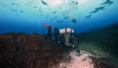 Methane leaks multiplying beneath Antarctic ocean spark fears of climate doom loop