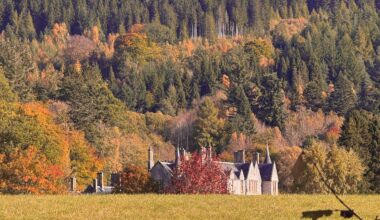 Autumn in Pitlochry - taken today