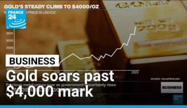 Gold reaches record highs and threatens supremacy of US dollar • FRANCE 24 English
