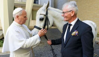 Polish donor gifts Pope Leo a purebred Arabian horse