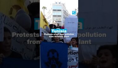 🇹🇳 Tunisia: Protests erupt over pollution from fertiliser plant • FRANCE 24 English