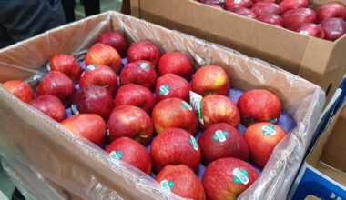 NH apple suppliers eye India gains amid Turkey shortage | News