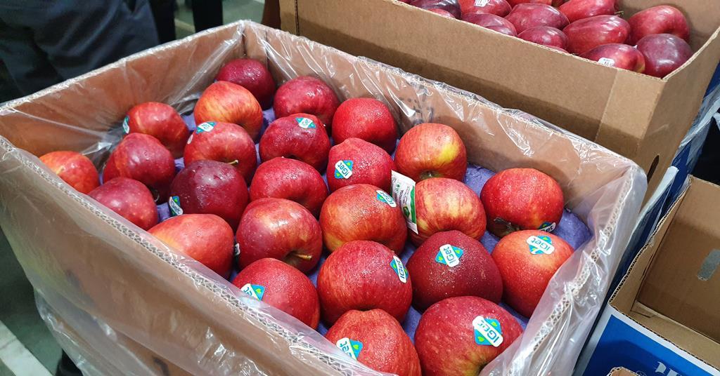 NH apple suppliers eye India gains amid Turkey shortage | News