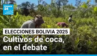 Bolivia: candidatos se enfrentan por cultivos de coca y políticas internacionales del Chaparé