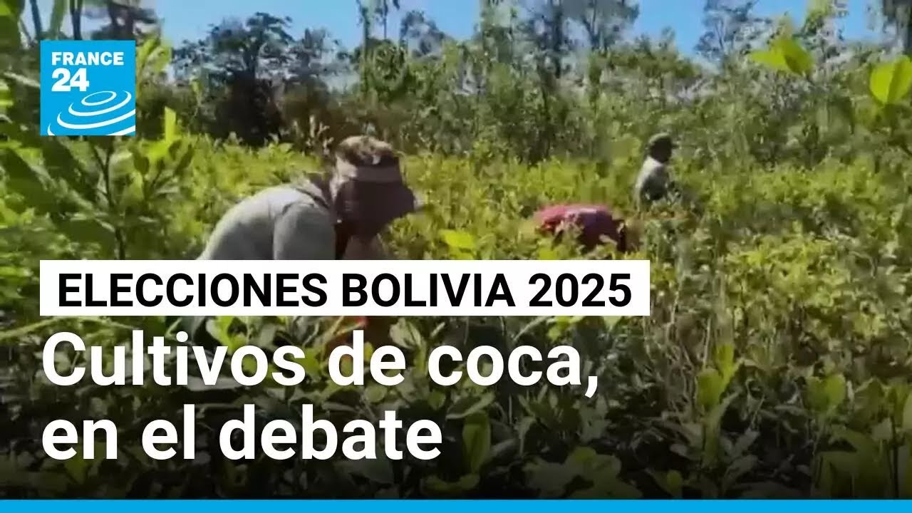Bolivia: candidatos se enfrentan por cultivos de coca y políticas internacionales del Chaparé