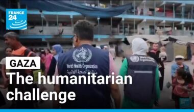 Despite ceasefire, Gaza faces severe hunger and aid coordination issues • FRANCE 24 English
