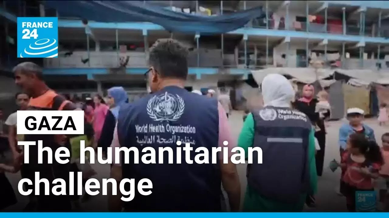 Despite ceasefire, Gaza faces severe hunger and aid coordination issues • FRANCE 24 English