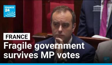 French government survives two no-confidence votes but remains fragile • FRANCE 24 English