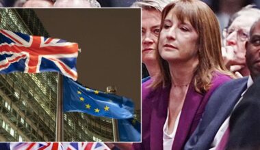 Rachel Reeves blames Brexit for sluggish UK economy ahead of Budget 2025