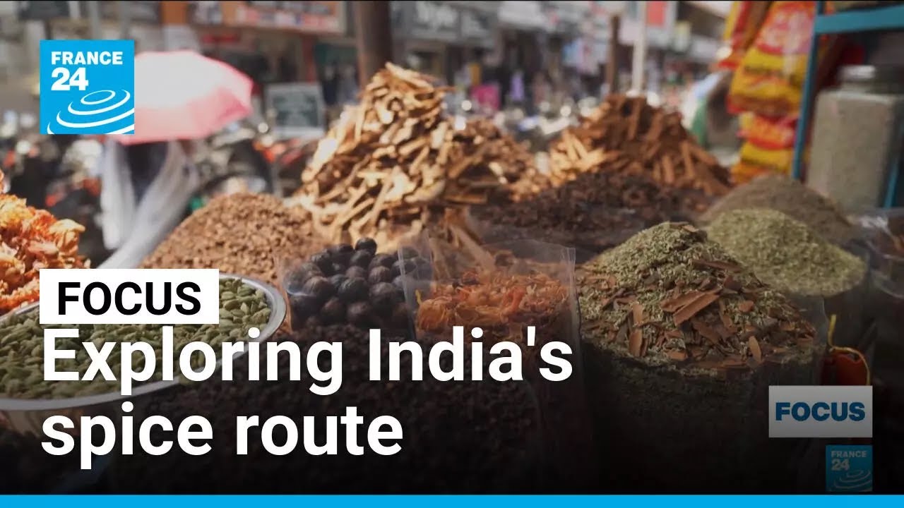 Exploring India's spice route: A thousand-flavour journey through Kerala • FRANCE 24 English