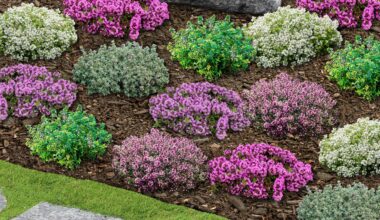 Liguster + Bodendecker