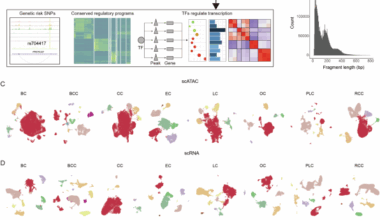Single-cell multi-omics analysis reveals cancer regulatory elements of transcriptional programs and clinical implications