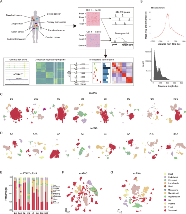 Single-cell multi-omics analysis reveals cancer regulatory elements of transcriptional programs and clinical implications