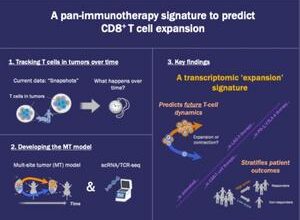 Decoding the T-cell burst: Signature genes that predict T-cell expansion in cancer immunotherapy