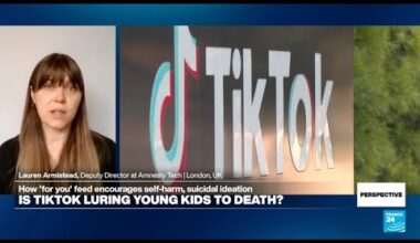 Is TikTok luring children to death? • FRANCE 24 English