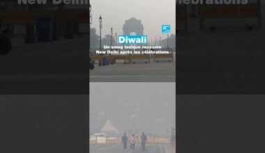 Diwali : un smog toxique recouvre New Delhi après les célébrations • FRANCE 24