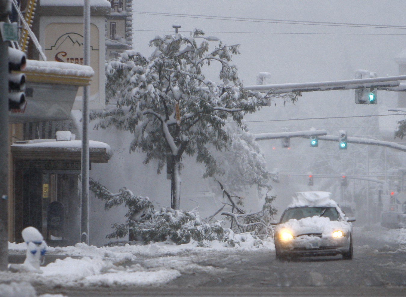 Casper program to cut unsafe trees felled by DOGE’s ax