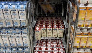 Egg nog migration has begun
