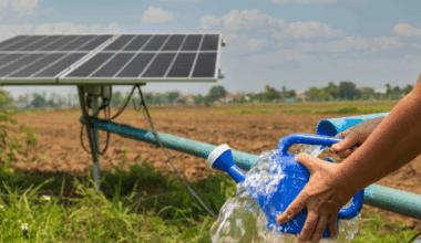 Shanghai Electric Expands European Presence with Signing of 342 MW Parau Phase 2 Solar Project in Romania