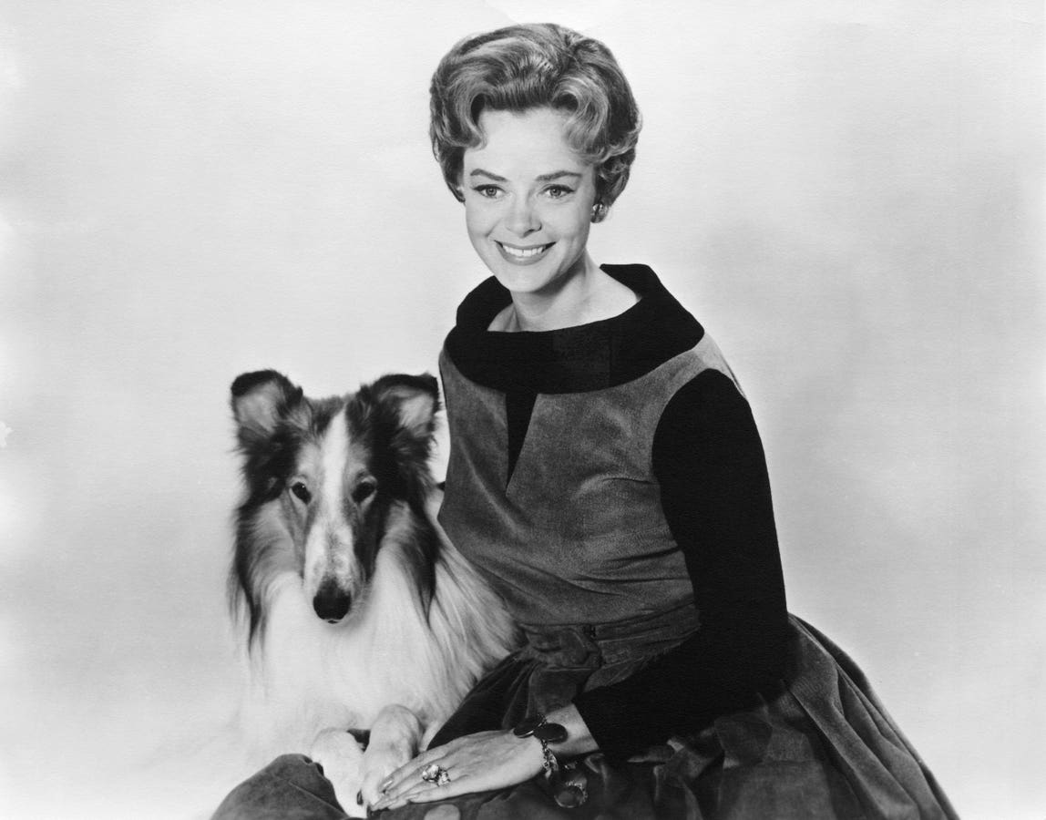 ‘Lassie’ And ‘Lost In Space’ Star’s Life In Pictures