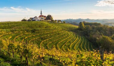 Why Slovenia May Be Europe’s Most Underrated Wine Country