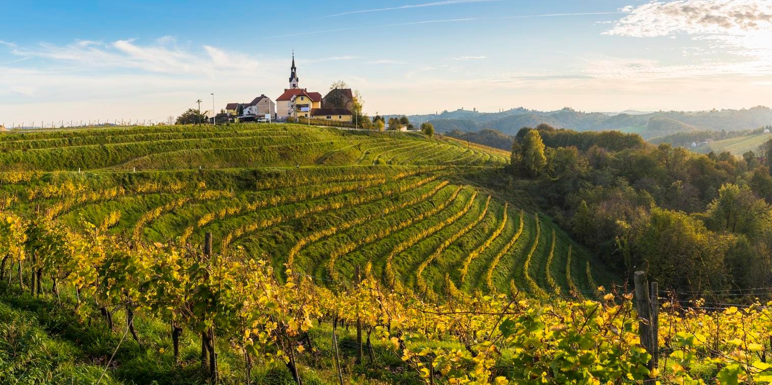 Why Slovenia May Be Europe’s Most Underrated Wine Country
