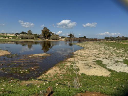 Cyprus records high temperatures and no rain for October, dams remain empty
