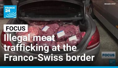 Police crack down on illegal meat smuggling from France into Switzerland • FRANCE 24 English