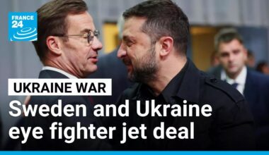 Sweden and Ukraine eye export deal for up to 150 fighter jets • FRANCE 24 English