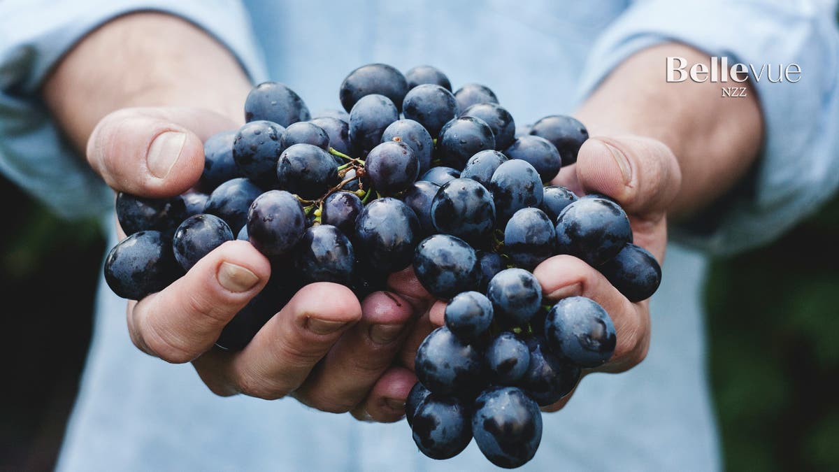 Welche Schweizer Rebsorten verschwinden durch den Klimawandel?