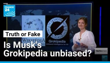Can Elon Musk’s AI-generated "Grokipedia" be trusted? • FRANCE 24 English