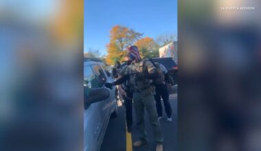 Chicago-area immigration activity: Video shows federal agents break car window, detain occupants in Addison; protest held