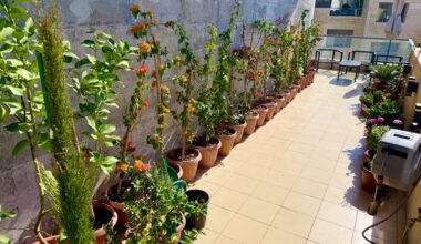 Ideen für unseren Balkon