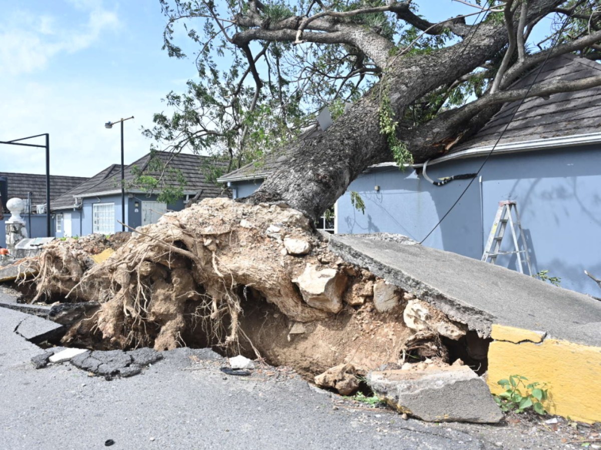 Washington se mobilise pour venir en aide aux sinistrés de Melissa