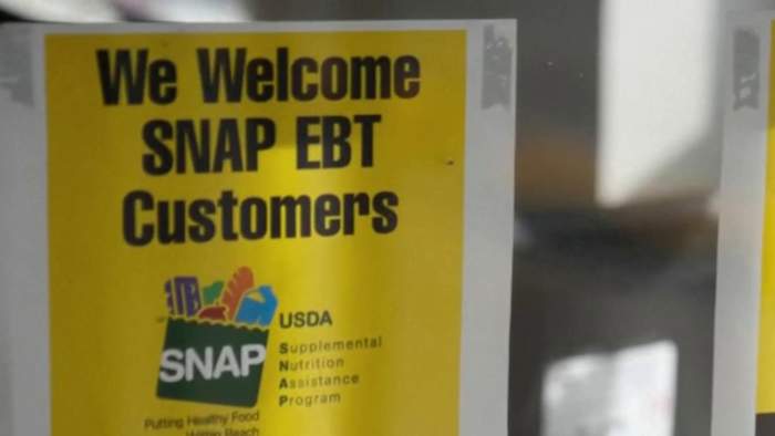 How a pause in SNAP benefits could affect the Texas economy