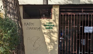 Jeden z najlepszych napisów na murze jakie kiedykolwiek przeczytałem (napotkany w Krakowie)