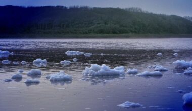 EU in Race Against Time to Agree on Emissions Target