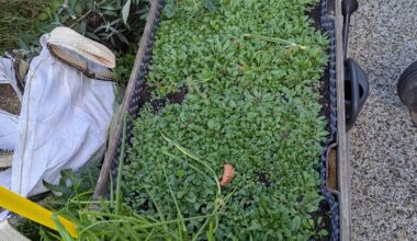 Könnt ihr mir mit meine Hochbeet helfen?