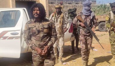 Soudan: les FSR arrêtent des combattants accusés d’exactions