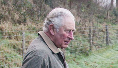 © Charles Sainsbury-Plaice