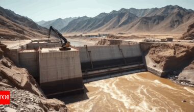 'Severe water shortages': Pakistan faces 'acute risk' after India’s IWT suspension - report