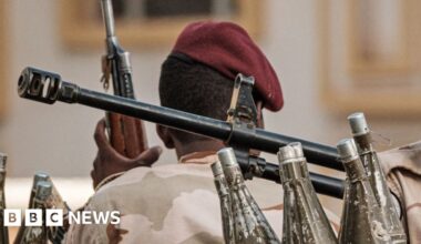 RSF militia killed 460 people at el-Fasher hospital, says WHO