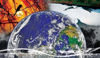 2024 Hottest Year in 125,000 Years