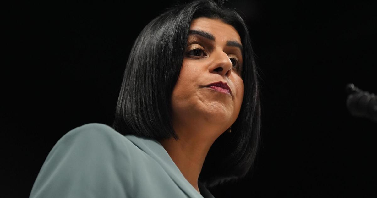 European human rights watchdog triggers row with Government over warnings