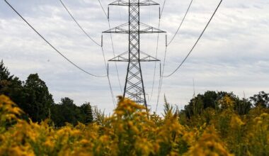 Estonia, Latvia begin feasibility studies for fourth electricity connection | News